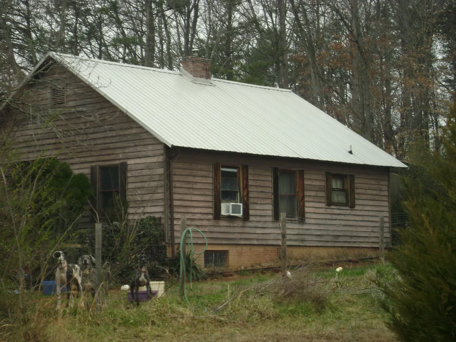 White metal roof on an old wood sided farmhouse, from a Metal Roof Installation job in Battle Mountain